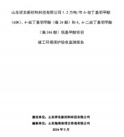 山東祥東新材料科技有限公司1.2萬噸/年6-叔丁基鄰甲(60K)、4-叔丁基鄰甲酚(偏 24 酚)和 4，6-二叔丁基鄰甲酚(偏 246 酚)烷基甲酚項目竣工環境保護驗收監測報告